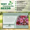 thumbnail image 3 of Outsidepride Pink Wild Flower Seed Mix - 10000 Seeds, 3 of 7
