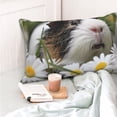 thumbnail image 4 of Goofa Daisy Guinea Pig Print Plush Throw Pillow Case, Soft Velvet with Hidden Zipper, Decorative Cushion Cover for Sofa, Bed, Car, and Home Décor-14"x20", 4 of 6