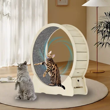 Safety Treadmill Running Toy with Lock Cat Wheel Exercise Wheel for Indoor Kitty