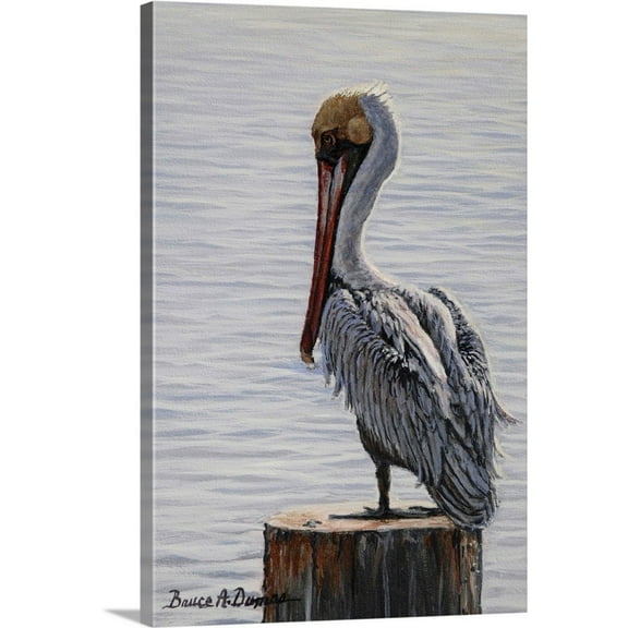 Great Big Canvas "Resting Pelican" by Bruce Dumas Dark Gray Wrapped Canvas Print Wall Artwork