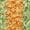 Green Orange, variant on INSPIRE CHIC Flat Fuzzy Shoelaces Colored Shoe Laces Soft Wide Fluffy Shoestrings 2 Pairs Green Blue 140cm/55.12"