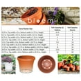 thumbnail image 2 of Bloem Terra Pot Planter 6" Terra Cotta, 2 of 3