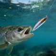 thumbnail image 4 of Tong 6g / 12g Hard Walk The Treble Hook Saltwater, 4 of 6