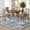 Ash, variant on Washable Area Rug, 2ft*6ft/5ft*7ft/8ft*10ft/9ft*12ft Rugs for Living Room Vintage Medallion Distressed Rug Low Pile Indoor Floor Cover Retro Accent Throw Rug for Bedroom Dining Room