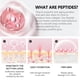 thumbnail image 5 of Ganfancp Sérum con Ácido Hialurónico y Acetil Hexapéptido, Reduce Arrugas, Líneas de Expresión, Unifica El Tono de La Piel, Manchas de La Edad, Manchas Solares, Apto para Todo Tipo de Pieles 15Ml Ofe, 5 of 7
