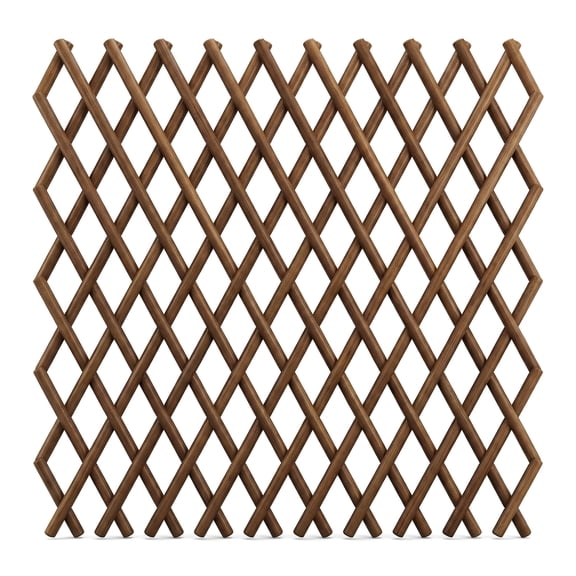Outdoor Plant Support Trellis – Willow Expandable Lattice Fence Panel for Climbing Plants,Lattice Fence Willow Expandable Plant Climbing Lattices Trellis Fence,Open Screen Fencing
