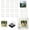 20pcs, variant on DIY Clear Acrylic Fridge Magnet Kit with Adhesive Backing, 2x2 Square Magnetic Photo Frames, Blank Custom Photo Magnets for Fridge, Office & Classroom Metal Surface Craft Decor (20PCS)