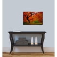 thumbnail image 3 of Cortesi Home ''Tree Fire'' by Darren White Photographic Print on Wrapped Canvas, 3 of 4