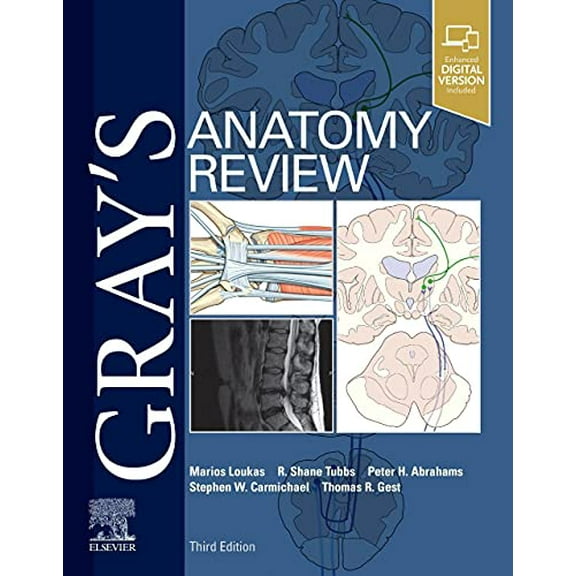 Pre-Owned Gray's Anatomy Review (Paperback) 032363916X 9780323639163