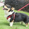 thumbnail image 6 of Cheers.US 2Pcs/Set Pet Chest Strap Reflective Strips Anti-escape Breathable Universal Pet Dogs Cats Training Harness Leash Kit for Walking Dog, Outdoor Activities, Traveling, 6 of 7