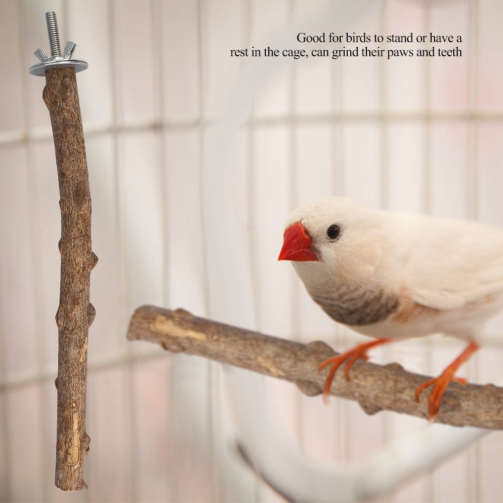 M Buder Natural Wood Bird Perch Stand Toy Paw Grinding Branch For Parrots Macaws Cockatiels Parakeets Cage Accessories With Quick Link Attachment (9.84 inches / 25 cm)