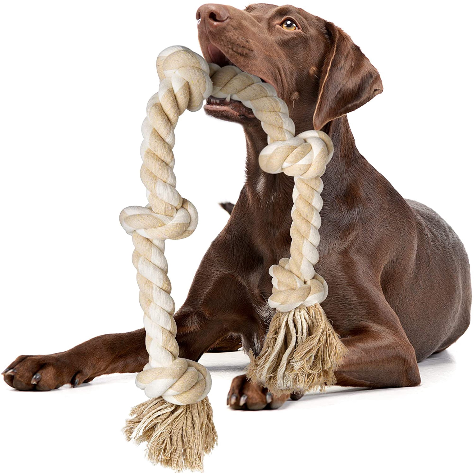 Are Dog Rope Toys Safe