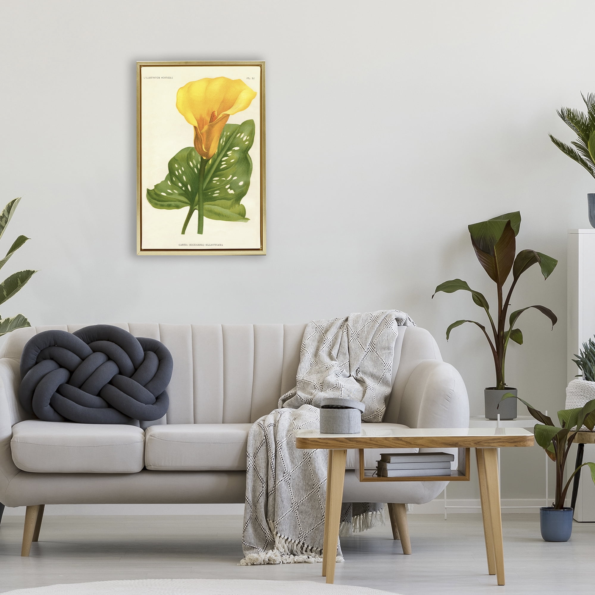 Stupell Industries Yellow Canna Lily Gold Framed Floater Canvas Wall Art, design by Print Collection