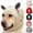 Black, variant on Jacenvly Pet Health And Wellness Products Dog Ear Muffs Noise Protection Winter Neck And Ear Warmer Hood For Pet Dogs Stress & Anxiety Relief Hood Warm Dog Knitted Hat Gray