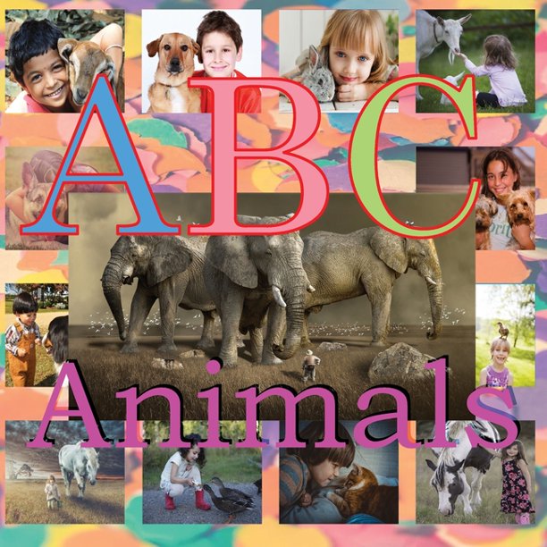 ABC Animals : ABC Zoo Reading Picture Books (Paperback) - Walmart.com
