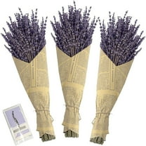 WBQ Dried Lavender Flowers Bundles 100% Natural Real Dry Flower for Home Decorations,Home Fragrance 350+ stems