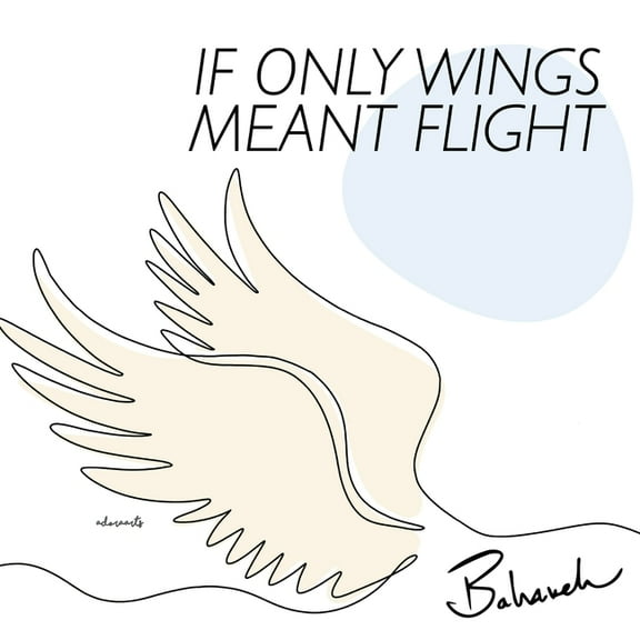 If Only Wings Meant Flight, (Paperback)