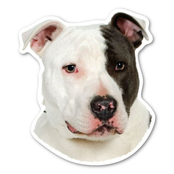 Pit Bull Dog Magnet