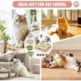 thumbnail image 6 of Cat Nail File Enrichment Box, Interactive Cat Scratch Puzzle Toys for Indoor Cats, Kitten Scratcher That Files Nails & Felt Maze Treat Box, Gifts for People Who Love Cats, Sandpaper Inside (2PCS), 6 of 9