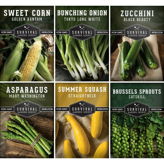 6 Packs Barbecue Vegetable Seeds - Asparagus Brussels Sprouts Green Onion Zucchini Squash Sweet Corn - Non-GMO Heirloom Annual Full Sun