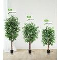 thumbnail image 3 of 6FT Artificial Ficus Tree with Natural Wood Trunk | Lifelike Faux Plant for Indoor & Outdoor Decor, 3 of 7