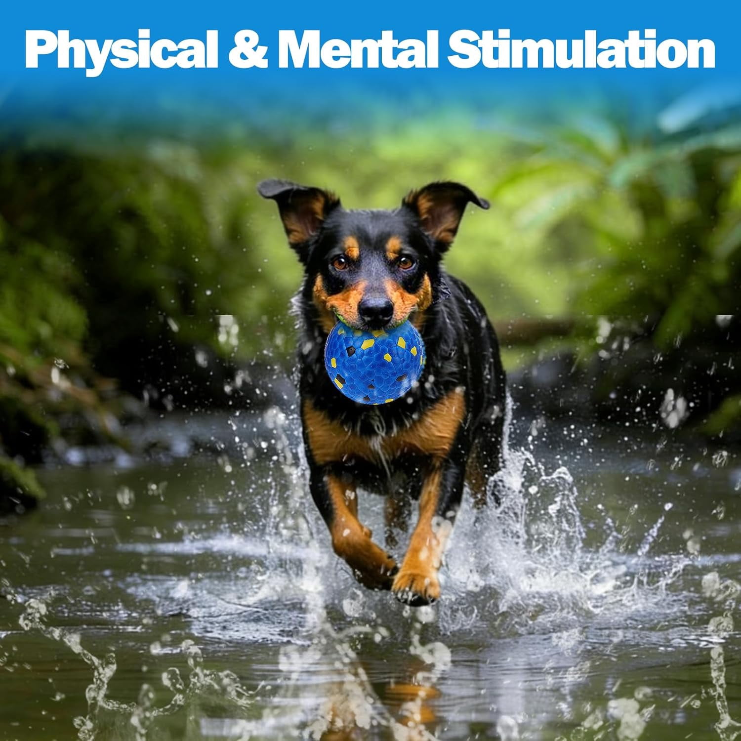 4PCS Floating Dog Toys –E-TPU Water Pool Fetching Toy for Small Medium Large Pet, Ball Shape Indestructible Interactive Dog Chew Toys for Summer Outdoor Training Fun