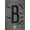 Bronze Framed Version, variant on NBA Brooklyn Nets - Logo 25 Wall Poster with Push Pins, 22.375" x 34"