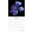 thumbnail image 3 of In the Garden 2026 12 X 24 Inch (Hanging) Monthly Square Wall Calendar Plastic-Free, (Paperback), 3 of 9