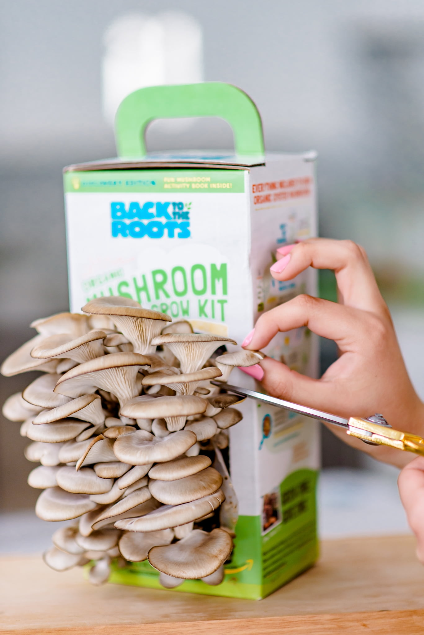 back to the roots organic mushroom grow kit - pearl oyster