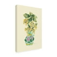 thumbnail image 4 of Trademark Fine Art Ania Zwara Blooming Linden In Vase Canvas Wall Art, 4 of 4