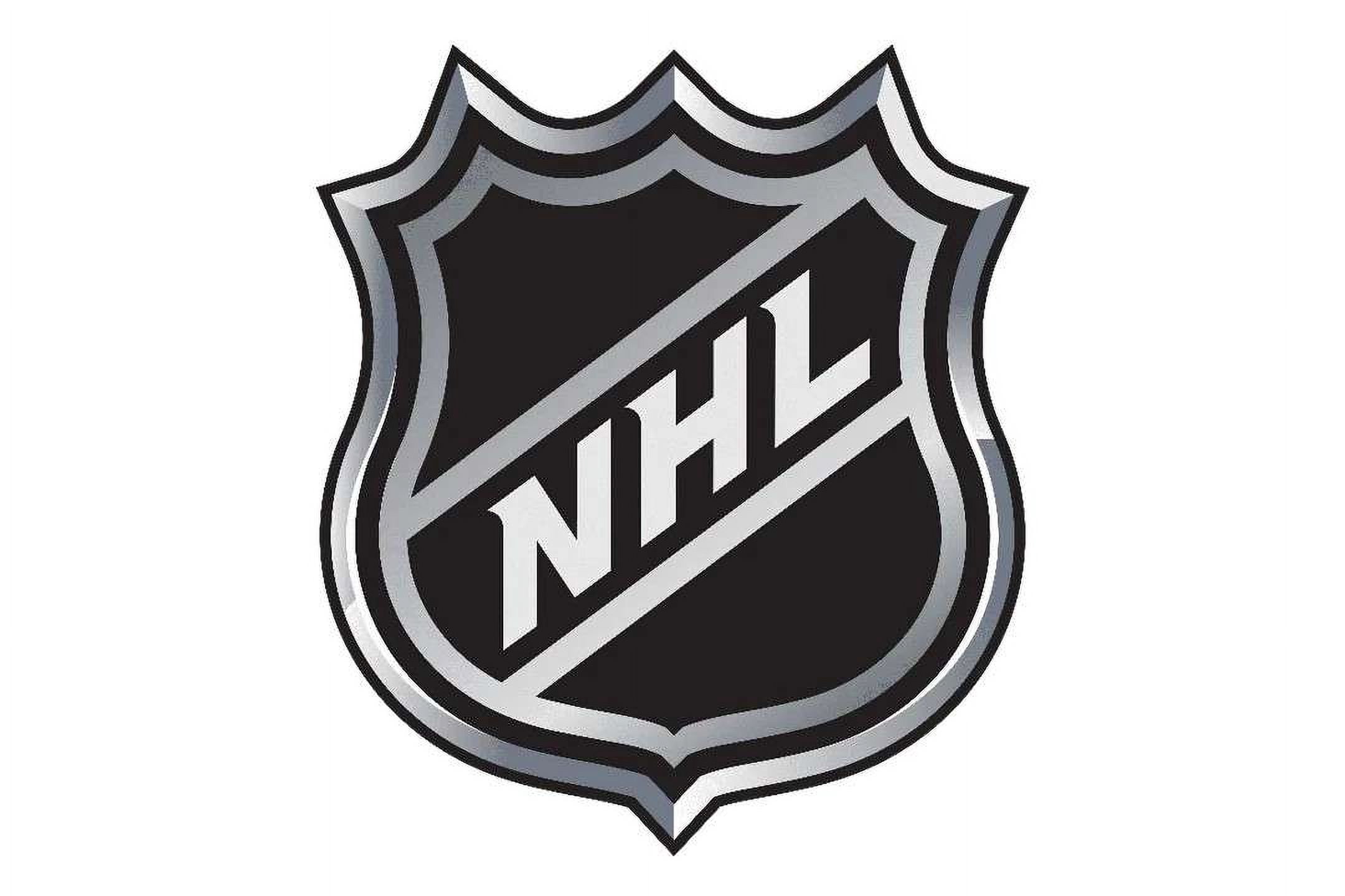 NHL Puck Stop Soft Cloud Pillow Buddy