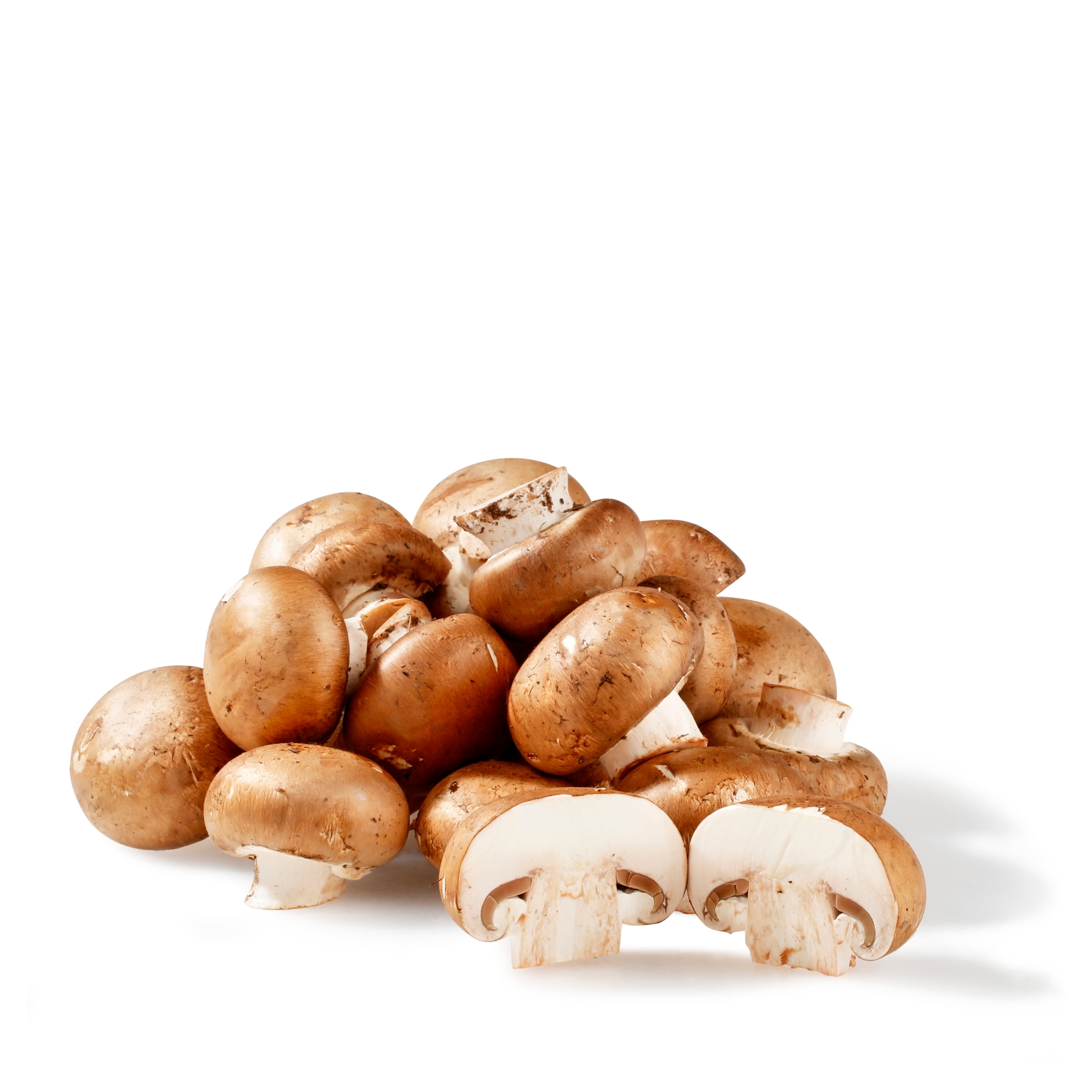 Are Crimini Mushrooms Bad For Dogs