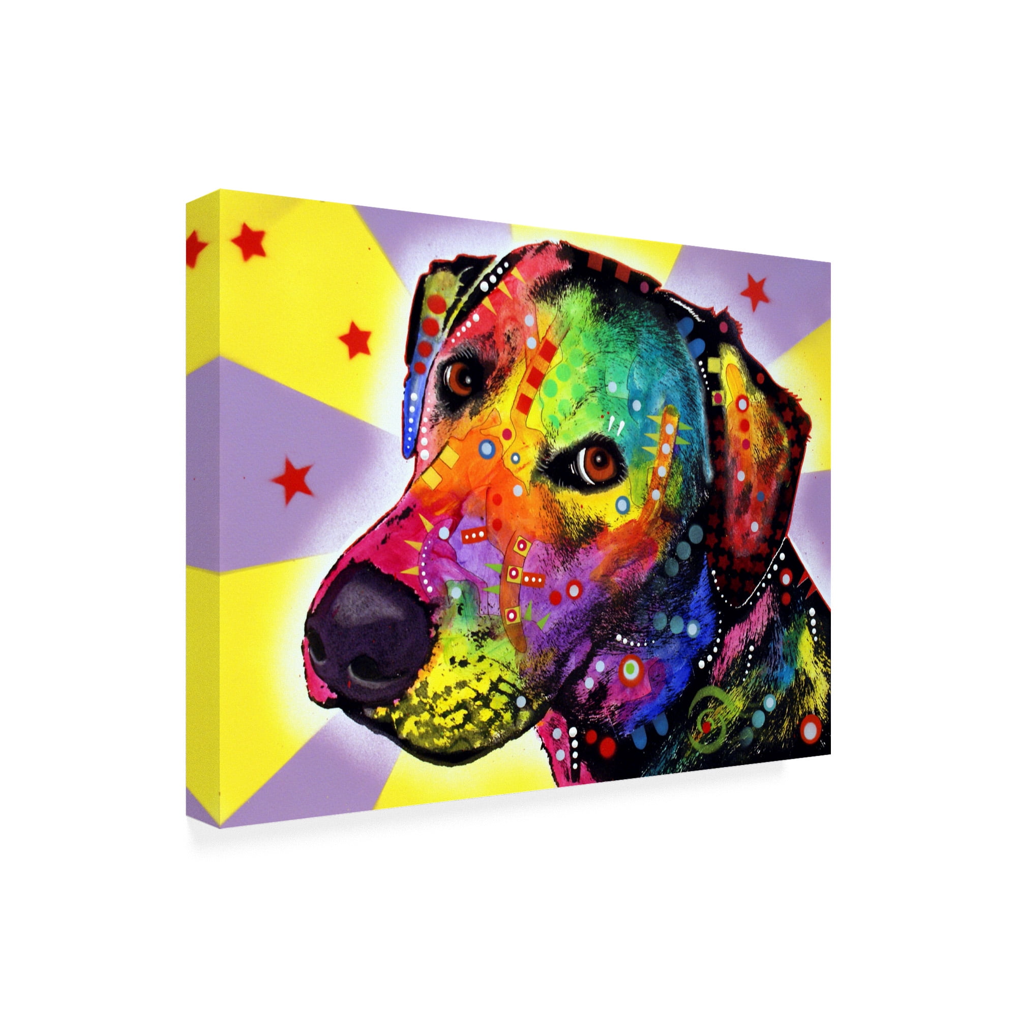Trademark Fine Art 'Yellow Sorta Lab' Canvas Art by Dean Russo