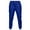 Blue, variant on Hanes Men's and Big Men's Fleece Sweatpants with Pockets, Fit Joggers Sweatpant Orange,XXL