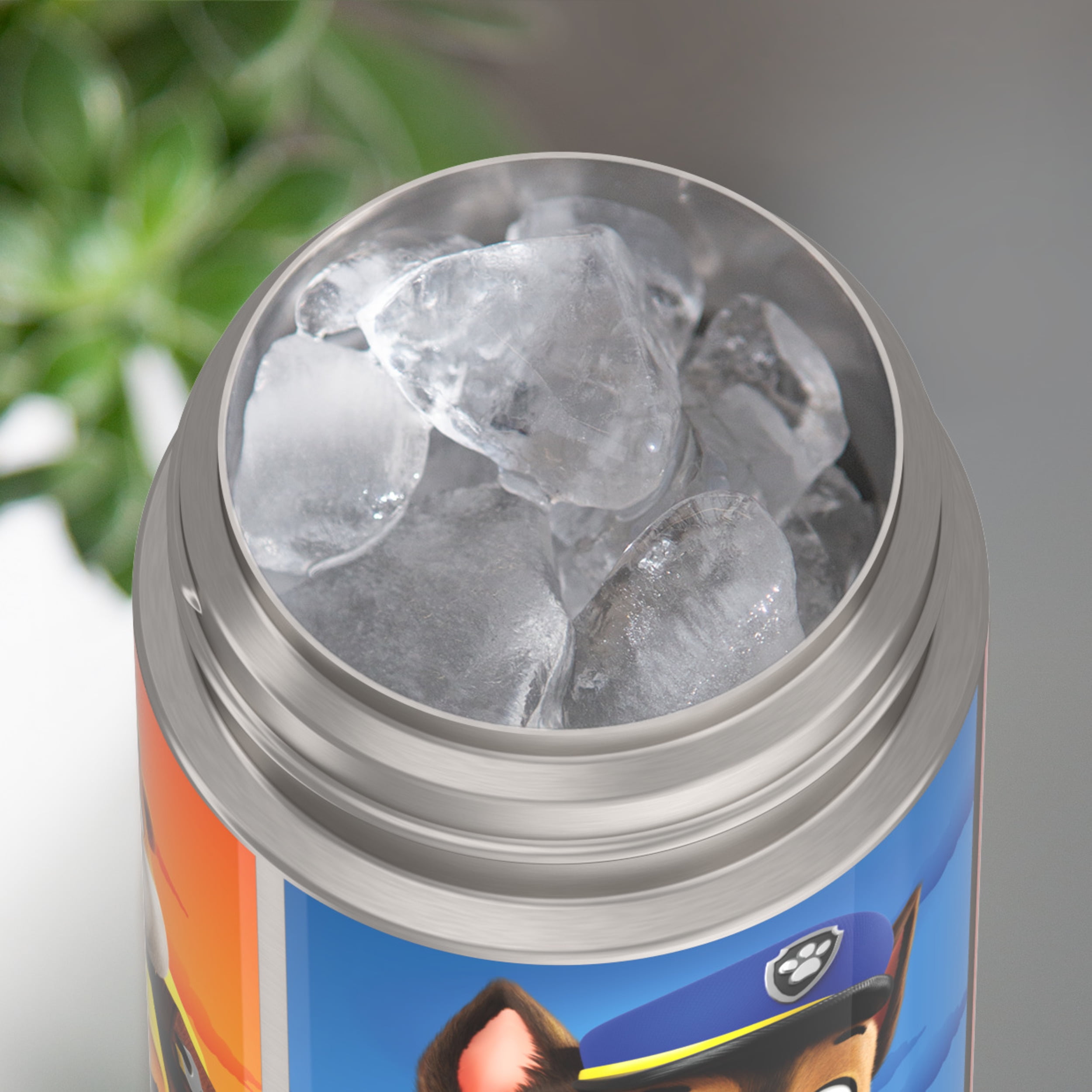 Thermos Kids Vacuum Insulated Funtainer Water Bottle with Flip Up Straw, 355ml, Paw Patrol, ,12 OZ Bottle