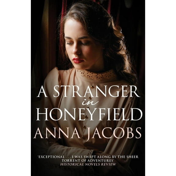 Honeyfield: A Stranger in Honeyfield (Paperback)