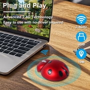 Dpisuuk Wireless Mouse, Cute Animal Ladybug Computer Mouse with USB Receiver, Portable 2.4GHz Optical Mice, Cordlless Mouse for Laptop Desktop PC