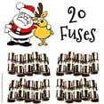 thumbnail image 1 of 20 Christmas Mini Light Strings Replacement Glass Fuses 3A 3 Amp 110V 125V 20pcs, 1 of 2