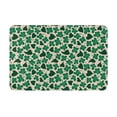 thumbnail image 1 of Balery Happy St. Patrick's Day Felpudo de franela, resistente a las manchas y a la decoloración, para uso interior y exterior, fácil de limpiar, 40 x 60 cm, 1 of 7