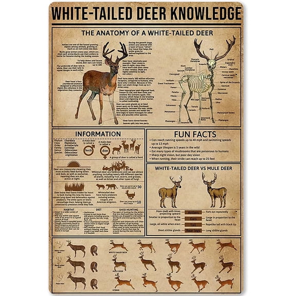 White Tailed Deer Hunting Knowledge Metal Tin Sign 8x12 Inch Wall Plaque for Farmhouse Kitchen Club Decor