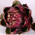 thumbnail image 4 of Skyseen 3PCS Artichoke Artificial Flower Fake Vegetables, 4.3 * 3.9Inch, 4 of 4