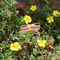 thumbnail image 4 of syligr Copper Garden Markers 6 Inch, 20 Pack T-Type Metal Plant Labels Stakes, Waterproof Gardening Name Tags for Herb Pots Seedlings Vegetables, Vintage Rustic Outdoor Plant Sign, 4 of 5