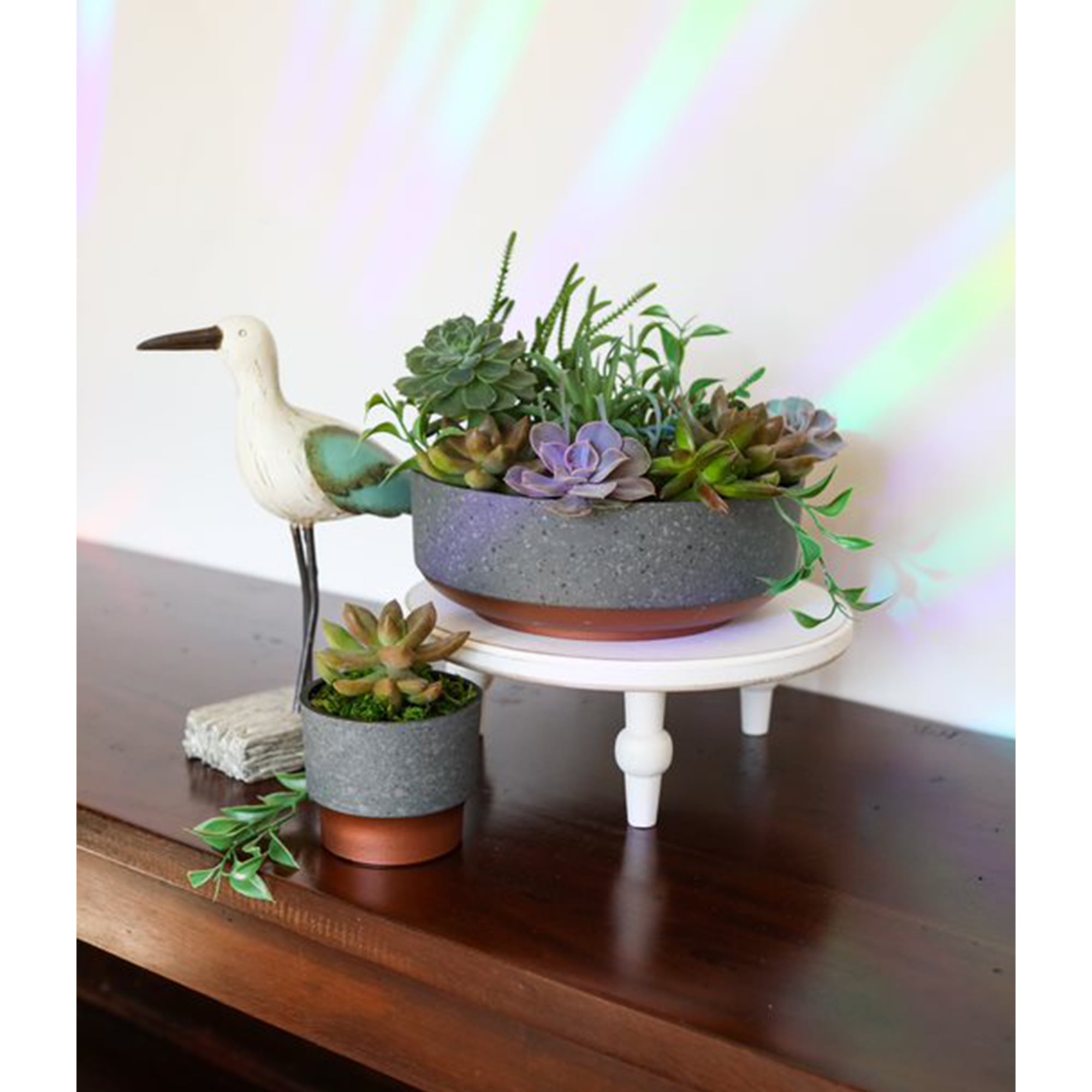 The HC Companies 8 In Capri Bowl Indoor Succulent Pot, Faux Concrete Copper