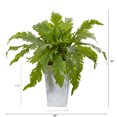 thumbnail image 2 of Nearly Natural 15in. Fern Artificial Plant in White Planter, 2 of 2