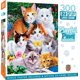 thumbnail image 1 of Rompecabezas MasterPieces, perfectamente adorables, 300 piezas, 1 of 6