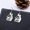 Fox-S, variant on Cute Animal Silhouette Dangle Hook Earrings for Women for Adult, Gold Silver Stainless Steel Fox Lizard Sheep Horse Drop Earrings Jewelry Gift(Gecko)