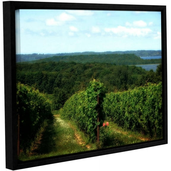 ArtWall Kevin Calkins "Vineyard on the Peninsula" Gallery-Wrapped Floater-Framed Canvas