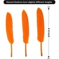 thumbnail image 2 of 120pcs Orange Goose Cochettes Feather Natural Bulk 4-6 inch 10-15cm for Wedding Party Christmas Halloween Decorations DIY Crafts Goose Cochettes Feather, 2 of 12