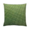 thumbnail image 2 of Ahgly Company Color Focus Green Coussin Décoratif d'Intérieur, 18 Po X 18 Po, 2 of 6