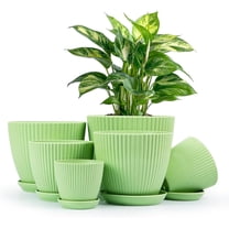 6 Pack Self Watering Plant Pots,Plastic Planter Set with Drainage Holes and Saucer, Suitable for Indoor and Outdoor Plants